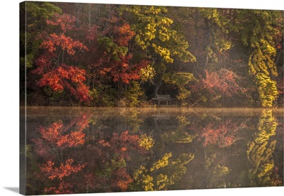 USA, New Jersey, Belleplain State Forest, Autumn Tree Reflections On Lake