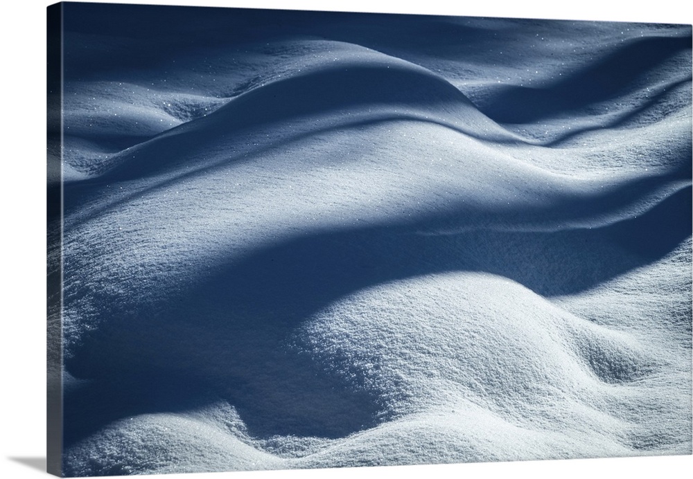 USA, New Jersey, Pine Barrens National Preserve. Shadow patterns on fresh snow. United States, New Jersey.