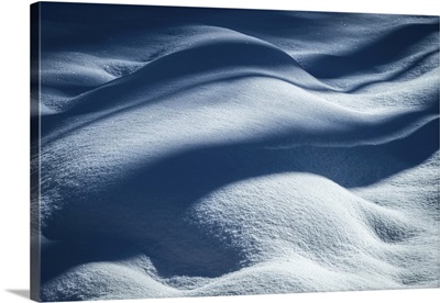 USA, New Jersey, Pine Barrens National Preserve, Shadow Patterns On Fresh Snow
