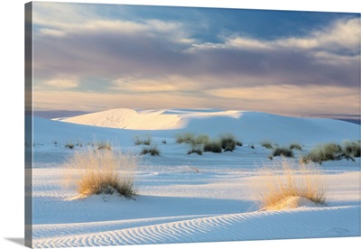 USA, New Mexico, White Sands National Park, Sand Dunes And Dry Grasses At Sunrise