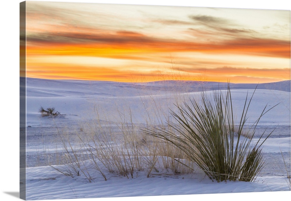 USA, North America, New Mexico.