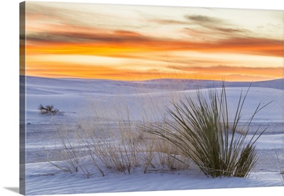 USA, New Mexico, White Sands National Park, Sand Dunes And Yucca Plant At Sunrise