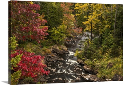 USA, New York, Adirondack State Park, Stream And Forest In Autumn