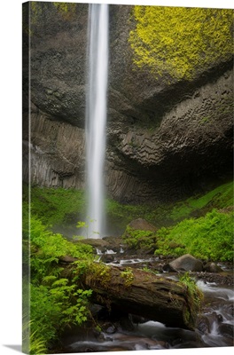 USA, Oregon, Columbia River Gorge, Latourell Falls Landscape