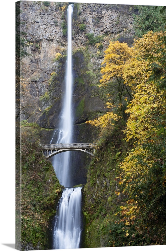 USA, Oregon, Columbia River Gorge National Scenic Area. Multnomah Falls in Fall colors.