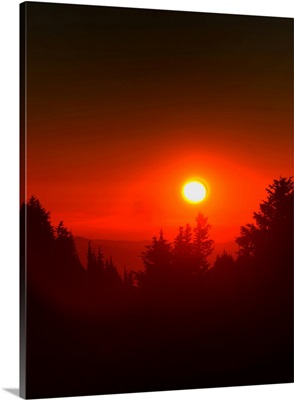 USA, Oregon, Crater Lake National Park, Sunset Over Forest