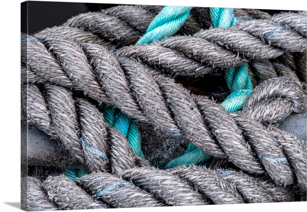 USA, Oregon, Florence. Close-up of boat mooring lines.