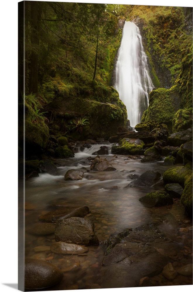 USA, Oregon, Umpqua National Forest. Susan Creek Falls in mossy gorge.