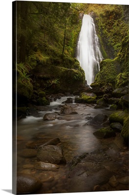 USA, Oregon, Umpqua National Forest, Susan Creek Falls In Mossy Gorge