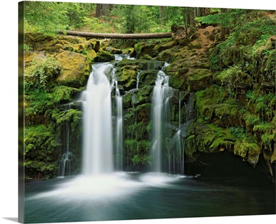 USA, Oregon, Umpqua River, Waterfall Scenic