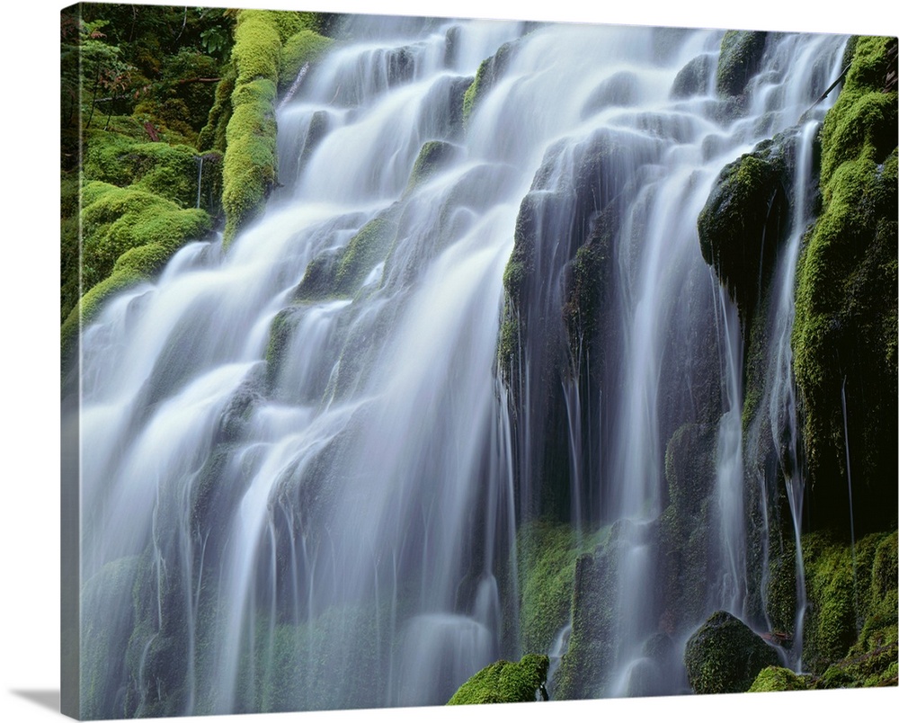 USA, Oregon, Willamette National Forest, Three Sisters Wilderness, Upper Proxy Falls and lush green moss.