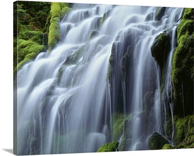 USA, Oregon, Willamette National Forest, Upper Proxy Falls And Lush Green Moss