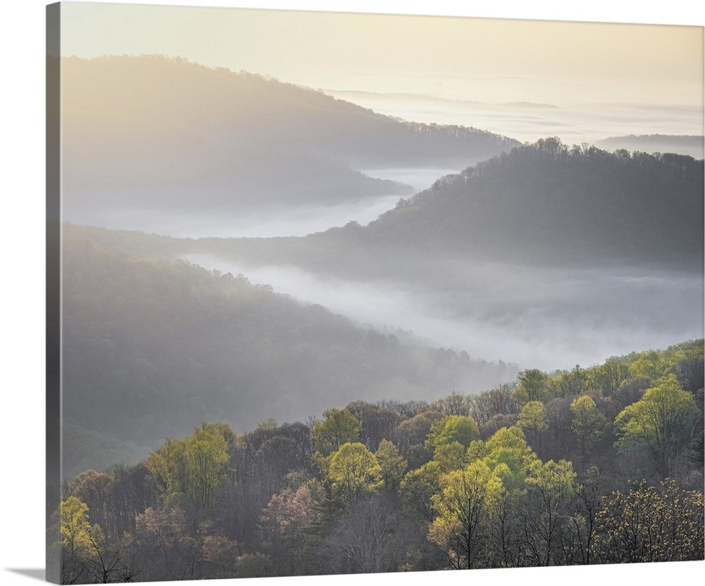 USA, Tennessee, Smokey Mountains National Park. Sunrise mist on mountain forest.