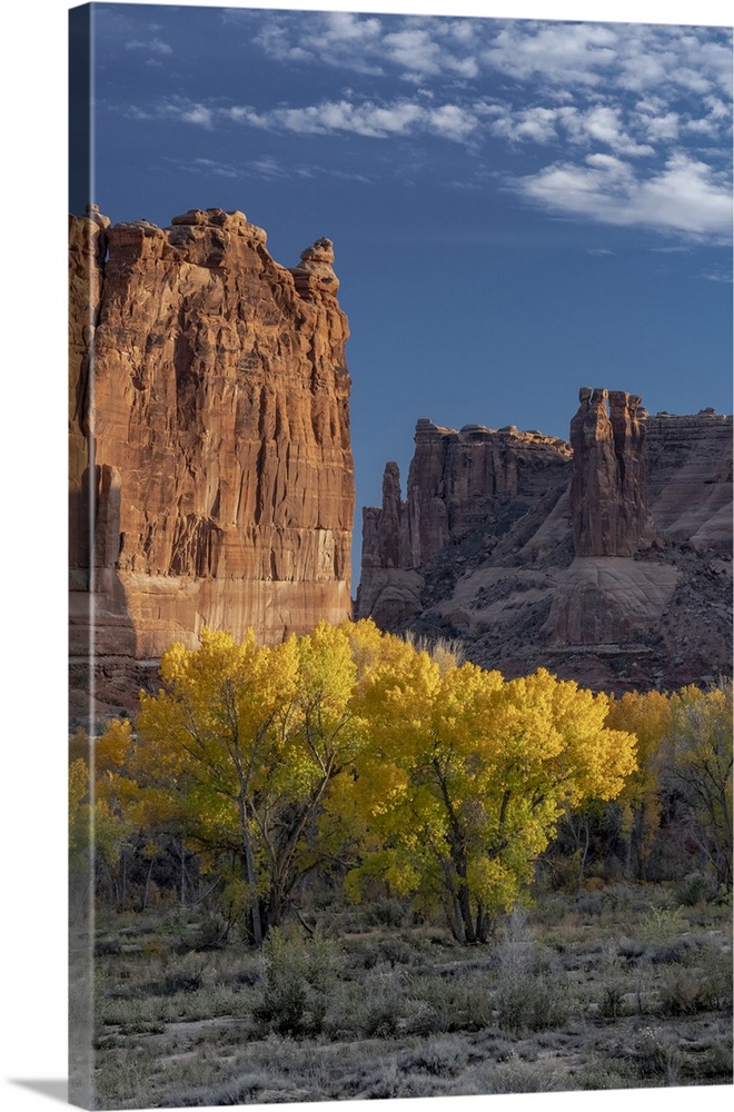 USA, Utah. Autumn cottonwoods and the Three Gossips at sunset, Arches National Park.