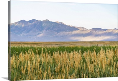 USA, Utah, Bear River National Wildlife Refuge, Mountain And Plain Landscape