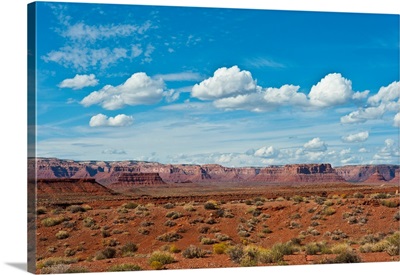 USA, Utah, Bluff, Valley Of The Gods, Panorama, Bears Ears National Monument