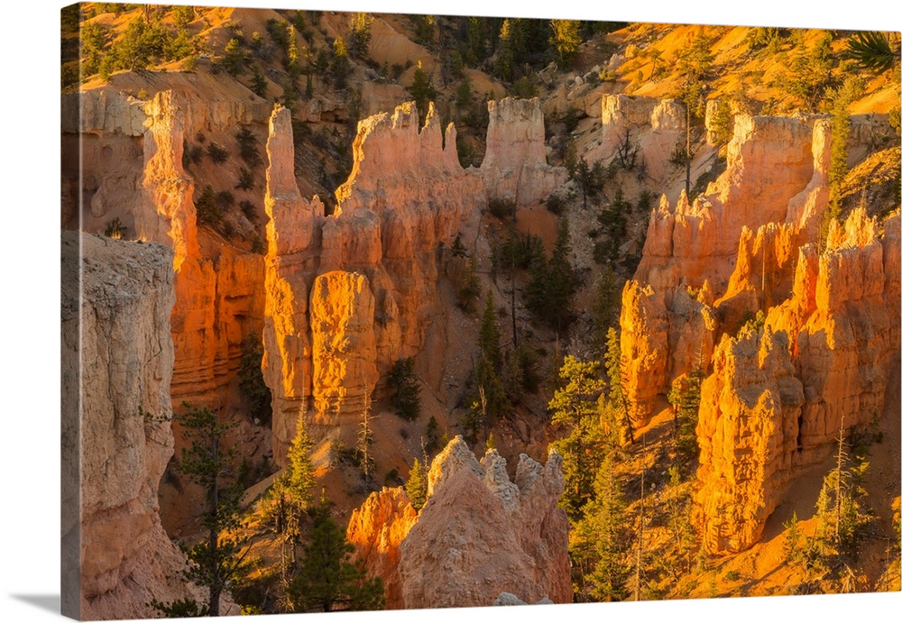USA, Utah, Bryce Canyon National Park. Canyon overview.