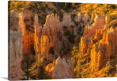 USA, Utah, Bryce Canyon National Park, Canyon Overview