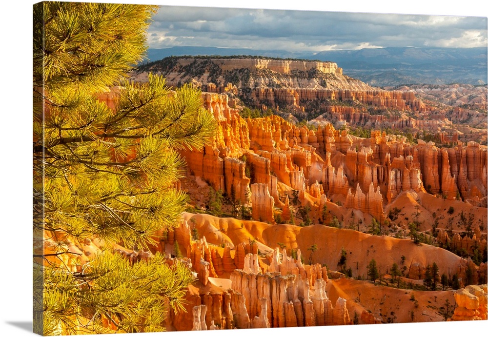 USA, Utah, Bryce Canyon National Park. Overview of canyon formations.