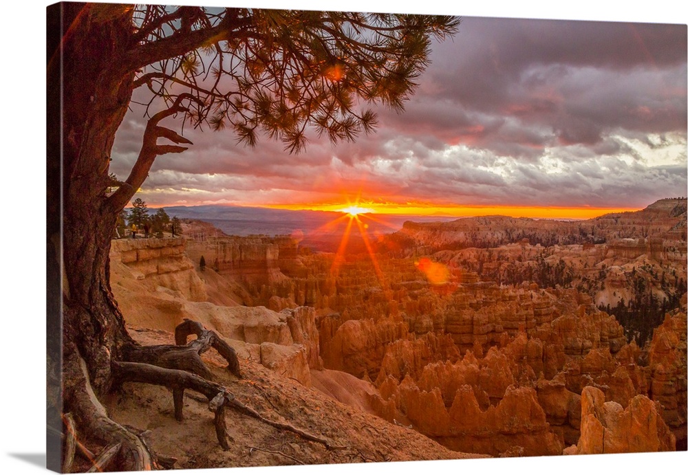 USA, Utah, Bryce Canyon National Park. Sunrise on canyon.