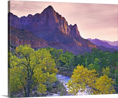 USA, Utah, Zion National Park, The Watchman Formation And The Virgin River In Autumn