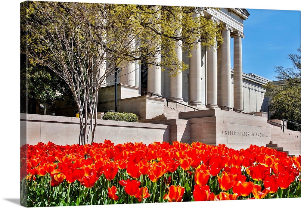 USA, Washington, DC, National Gallery of Art West Building in Springtime