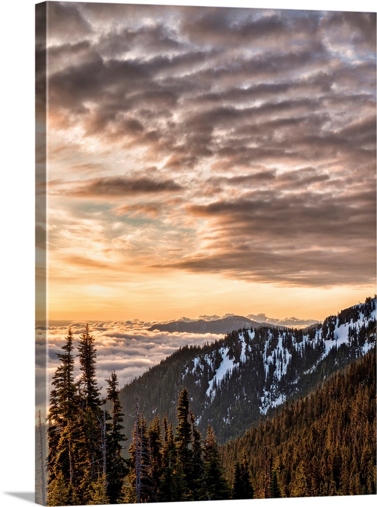 USA, Washington, Olympic National Park, View looking northeast from road to Hurricane Ridge