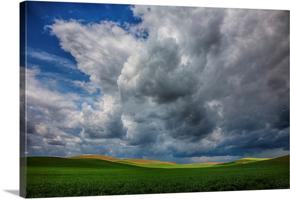 North America, USA, Washington, Palouse Country, Spring Rolling Hills of Wheat and Fallow fields