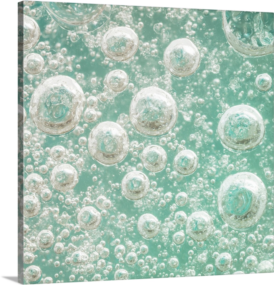 USA, Washington, Seabeck. Bubbles frozen in ice.