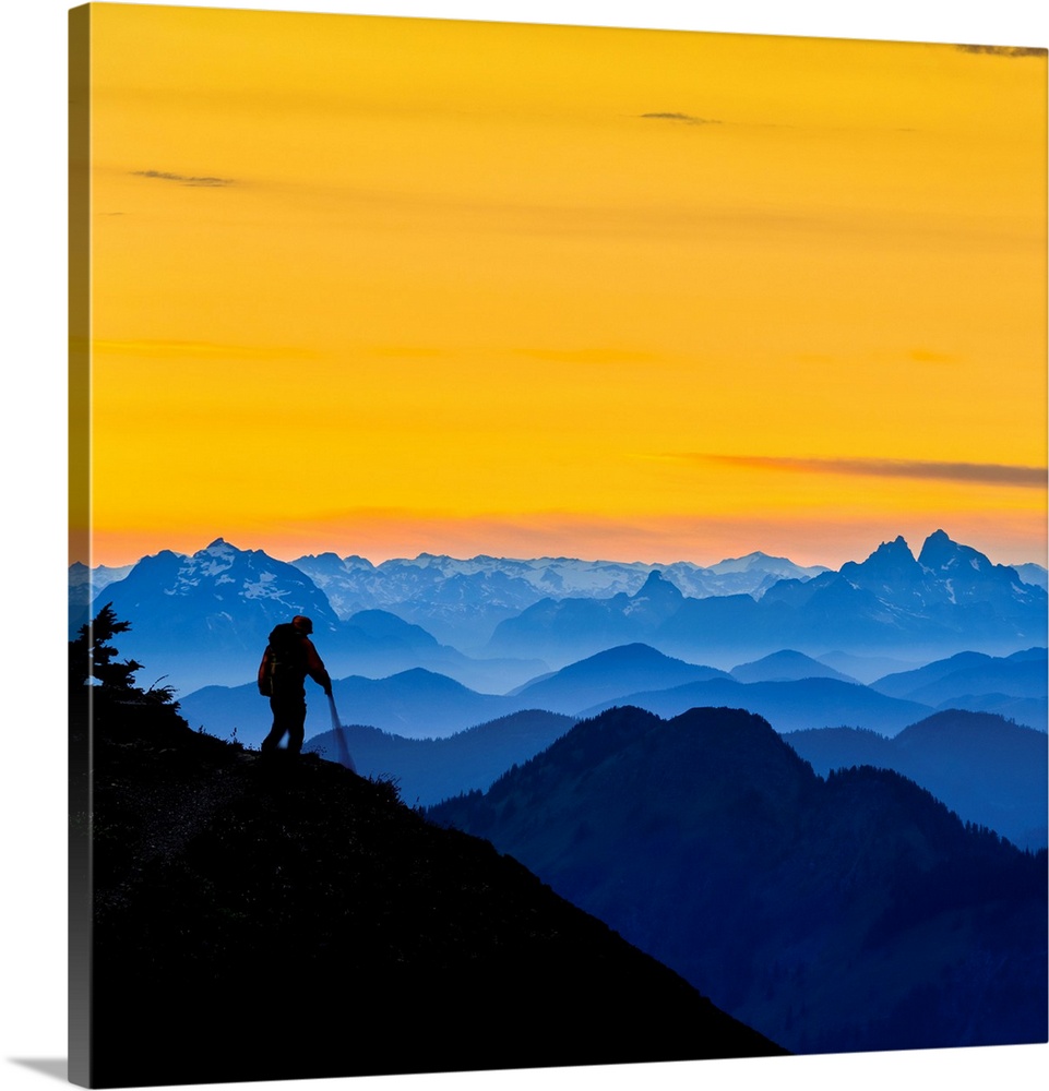 USA. Washington State. A backpacker decends from the Skyline Divide in the North Cascades near Mt. Baker at sunset. Promin...