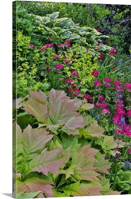 USA, Washington State, Bellevue Bellevue Botanical Garden