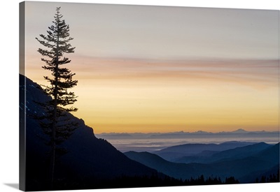USA, Washington State, Olympic National Park Before Sunrise With A Tree