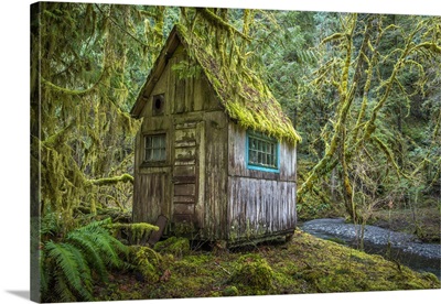 USA, Washington State, Olympic National Park, Tolkien-Like Abandoned Cabin