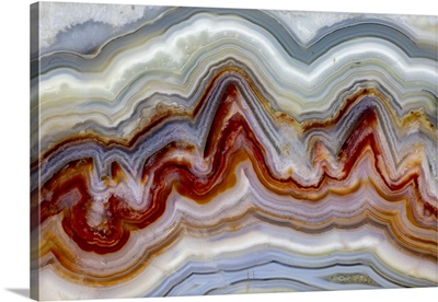 USA, Washington State, Sammamish, Close-Up Of Crazy Mexican Agate