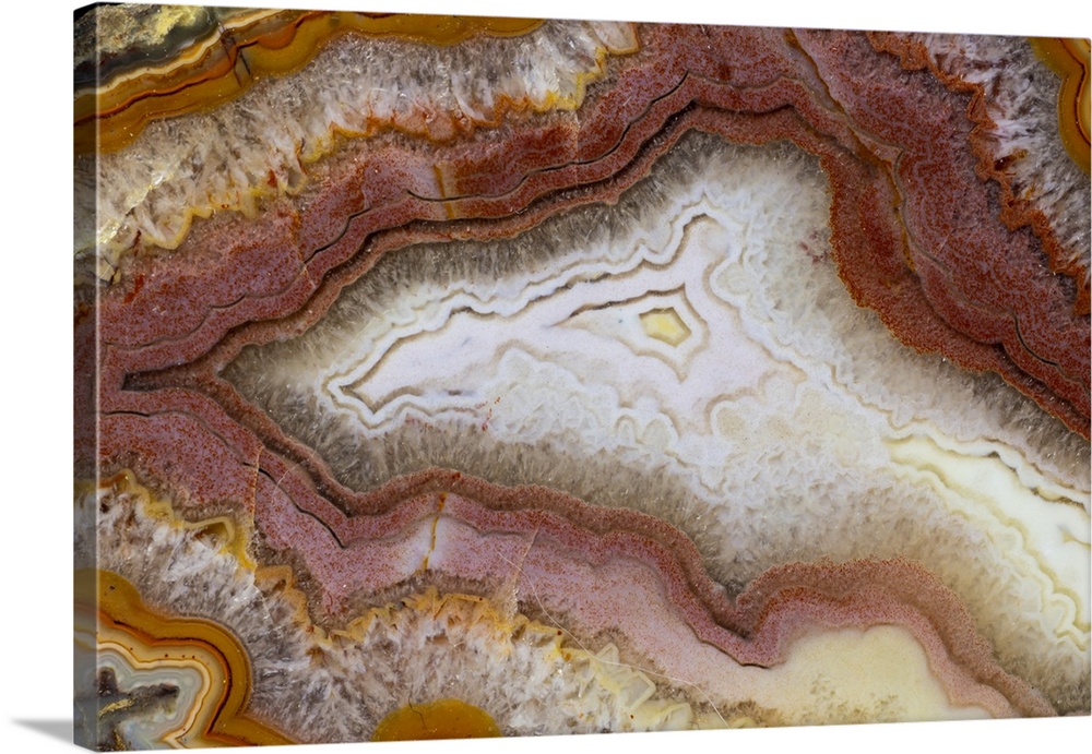 USA, Washington State, Sammamish. Close-up pattern design of agate.