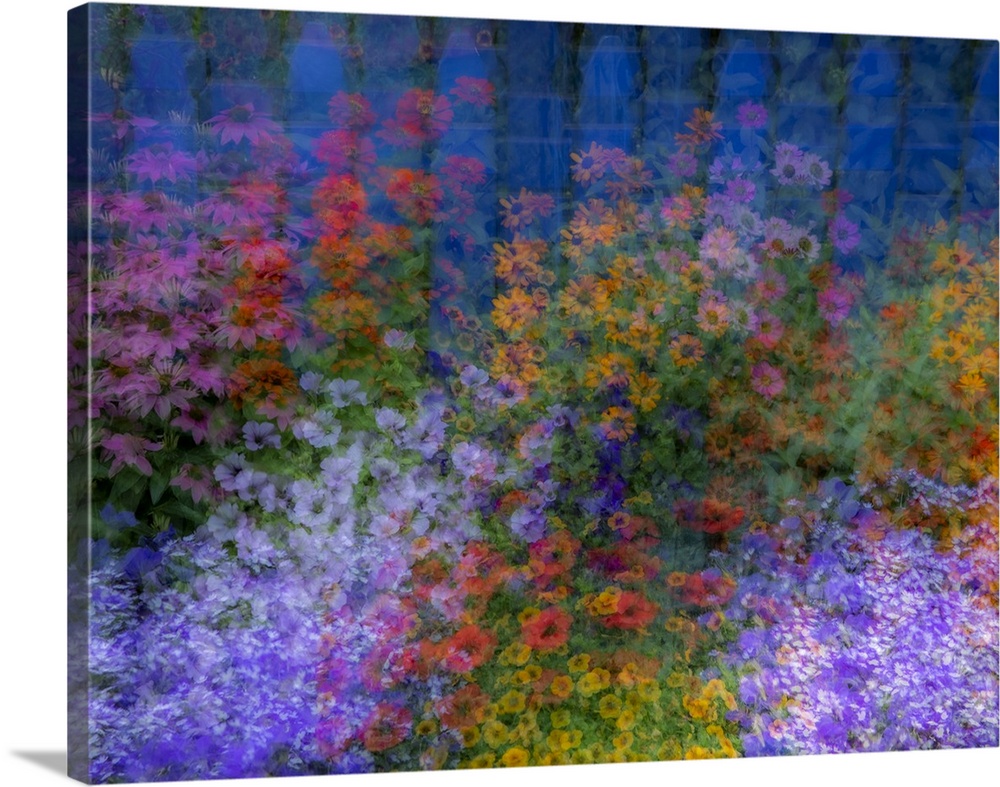 USA, Washington State, Pacific Northwest, Sammamish colorful flowers and blue picket fence multi exposures. United States,...