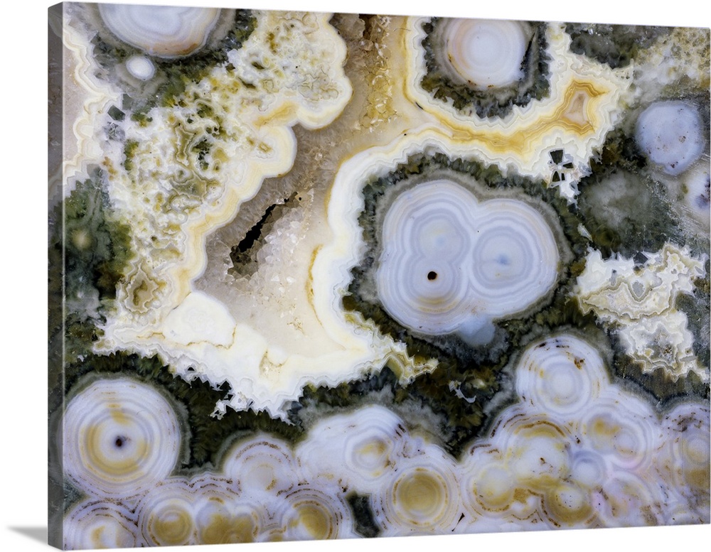 USA, Washington State, Sammamish. Ocean jasper close-up.