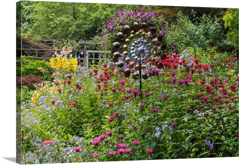 USA, Washington State, Sammamish. Summer perennial flower garden with cone flowers, zinnias. Beebalms, Rebecca. Coleus, Ja...