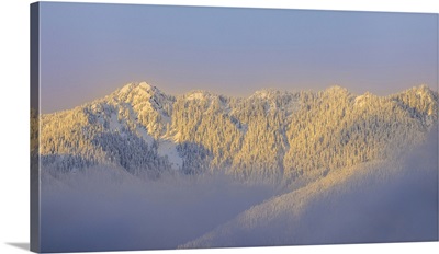 USA, Washington State, Sunrise On Snow-Covered Mountains In Olympic National Forest