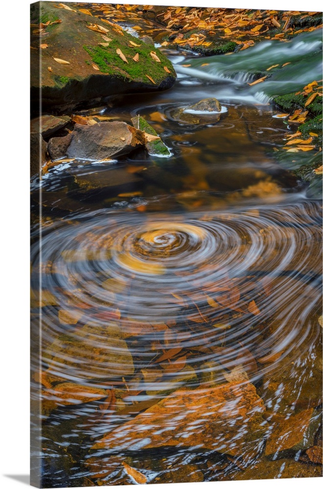 USA, West Virginia, Blackwater Falls State Park. Whirlpool in stream.
