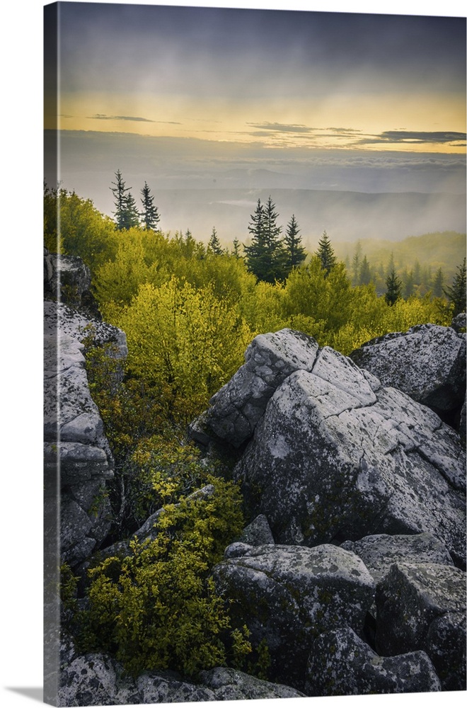 USA, West Virginia, Dolly Sods Wilderness Area. Sunrise on mountain boulders and forest.