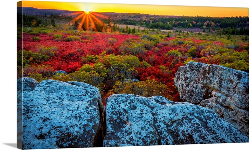 USA, West Virginia, Dolly Sods Wilderness Area, Sunset On Tundra And ...