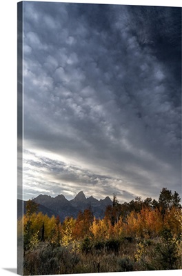 USA, Wyoming, Autumn Evening Near Black Tail Butte, Grand Teton National Park