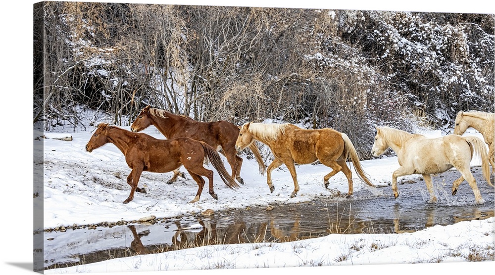 USA, Wyoming, Shell. Hideout Ranch, Big Horn Mountain Range.