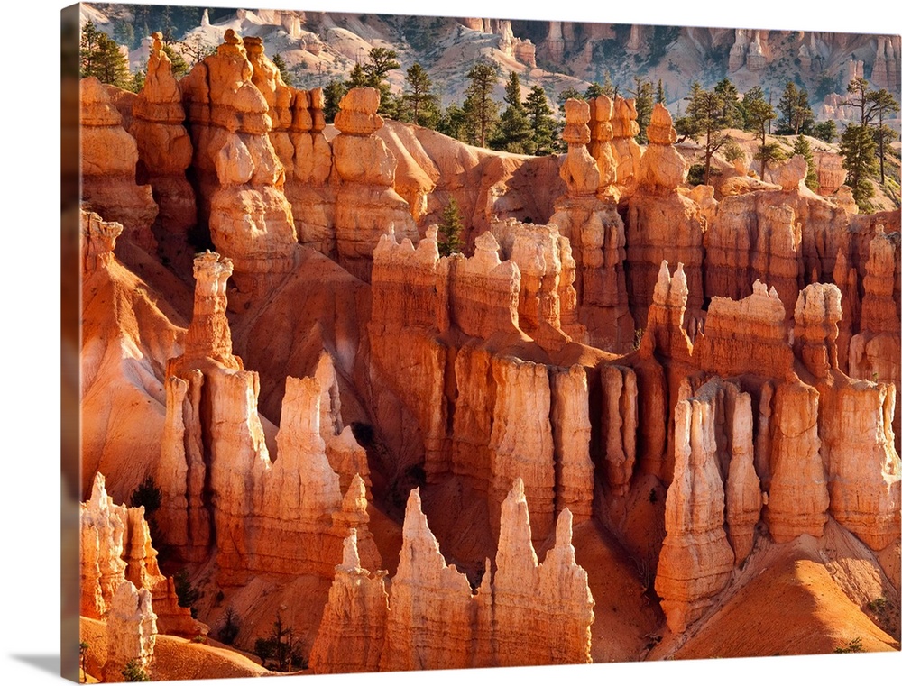 USA, Utah, Bryce Canyon National Park, Morning light on hoodoos