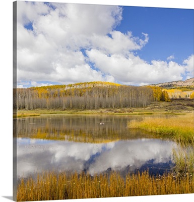 Utah, Dixie National Forest. Chriss Lake landscape