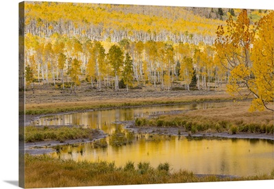 Utah, Fishlake National Forest. Ponds and forest landscape