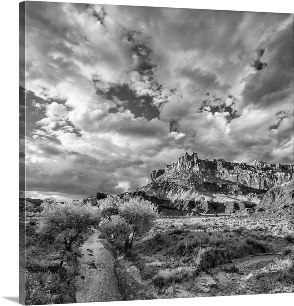 North America, USA, Utah.  Black and white image of autumn reflections on Sulpher Creek below the Castle, Capitol Reef Nat...