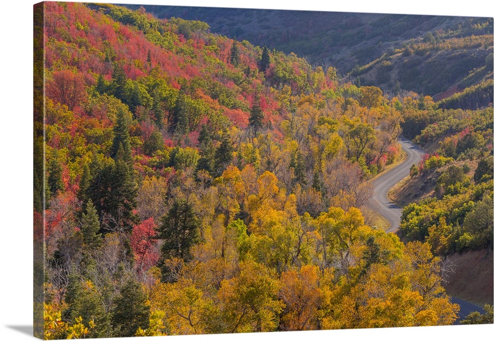 USA, Utah, Uinta National Forest. Landscape with Nebo Loop Road.