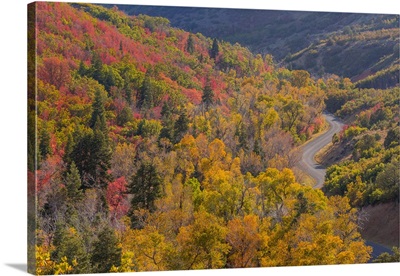 Utah, Uinta National Forest. Landscape with Nebo Loop Road
